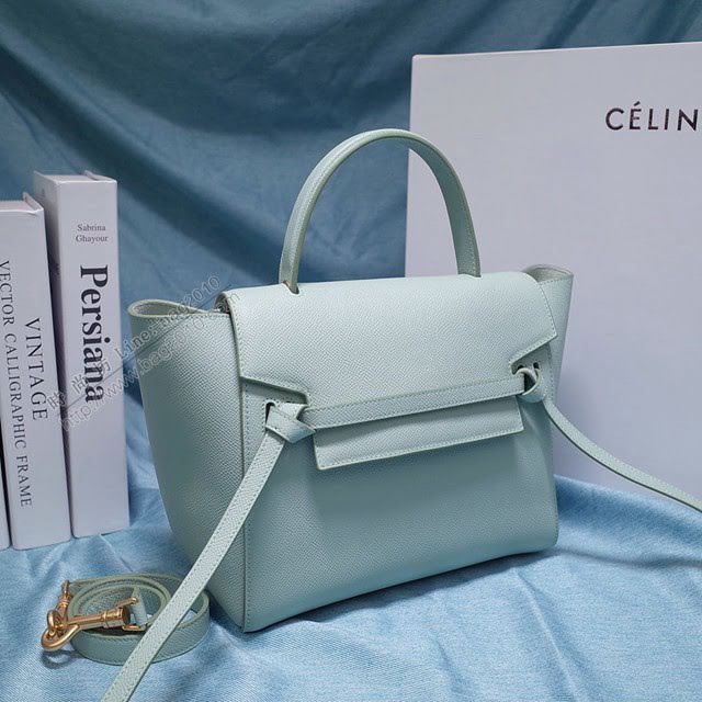 Celine女包 賽琳掌紋牛皮中號手提包 Celine belt bag鯰魚包 189153  slyd2050